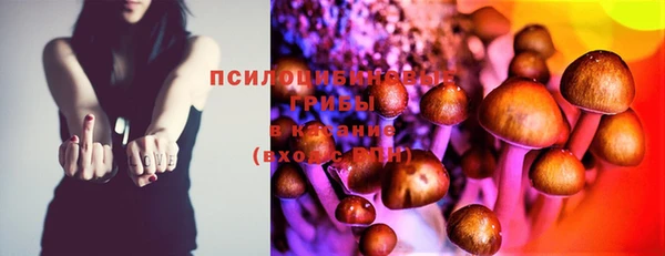 стафф Алексин