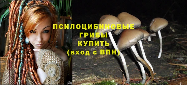 стафф Алексин