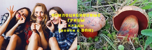 мяу мяу мука Коряжма