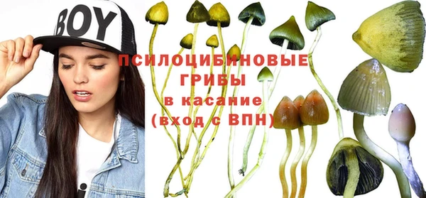 шишки Алексеевка