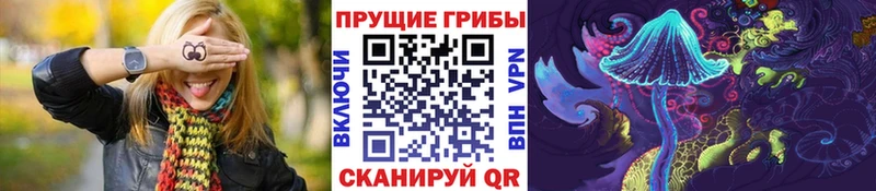Галлюциногенные грибы Psilocybine cubensis hydra рабочий сайт Конаково наркота